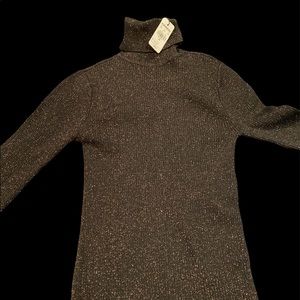 Express ribbed bronze turtle neck sweater XS NWT
